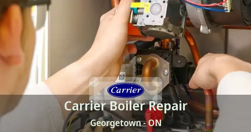 Carrier Boiler Repair Georgetown - ON