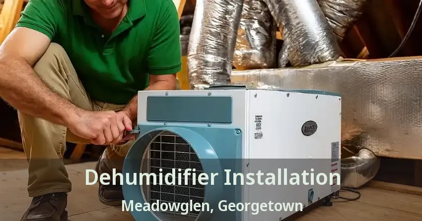 Dehumidifier Installation Meadowglen, Georgetown - ON