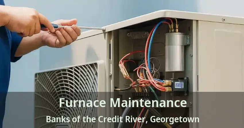 Furnace Maintenance Banks of the Credit River, Georgetown - ON