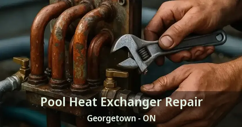 Pool Heat Exchanger Repair Georgetown - ON