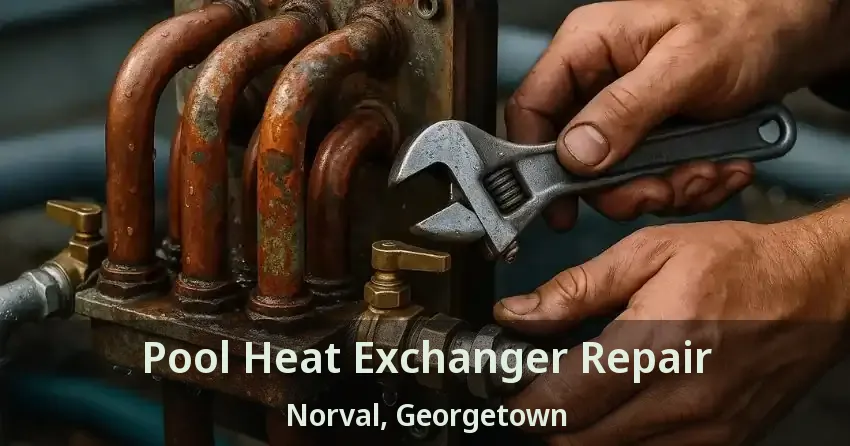 Pool Heat Exchanger Repair Norval, Georgetown - ON