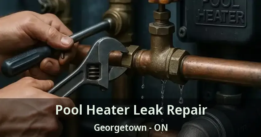 Pool Heater Leak Repair Georgetown - ON