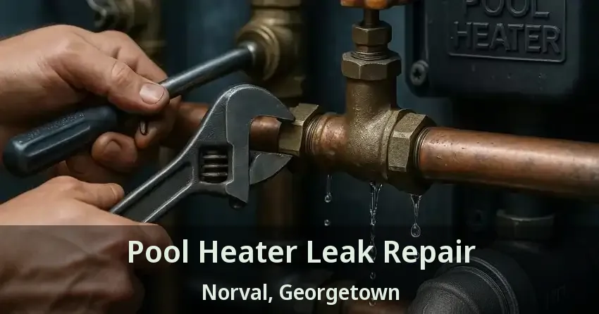 Pool Heater Leak Repair Norval, Georgetown - ON