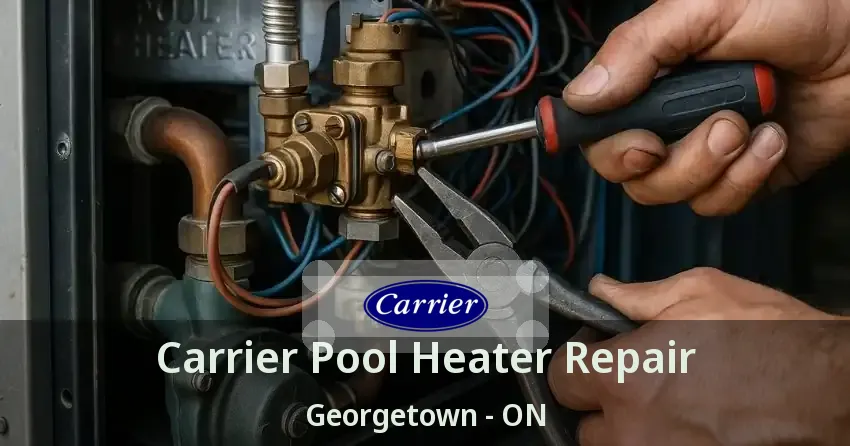 Carrier Pool Heater Repair Georgetown - ON