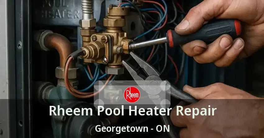 Rheem Pool Heater Repair Georgetown - ON